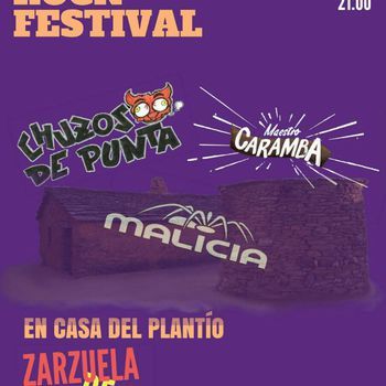 FESTIVAL PLANTÍO I