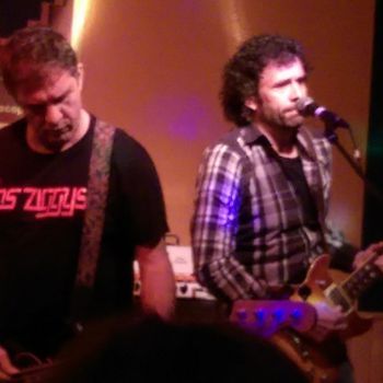 Los ziggys