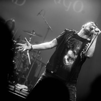 Johnny Gioeli