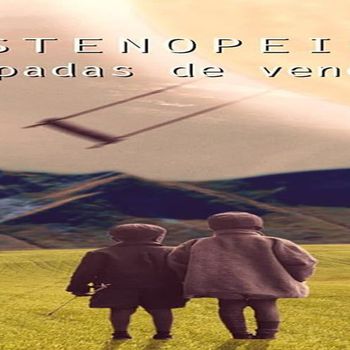Estenopeica cabecera 1