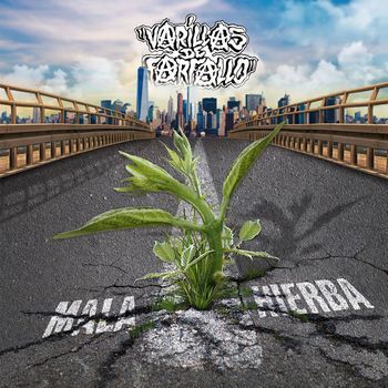 Varillas de farfallo logo
