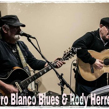 Perro blanco blues 2