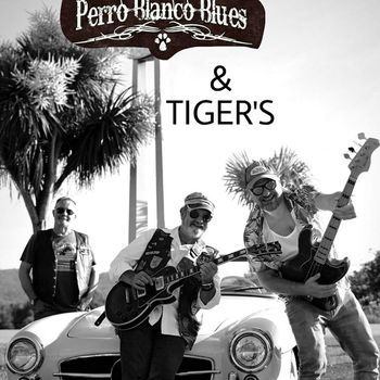 Perro blanco blues 3