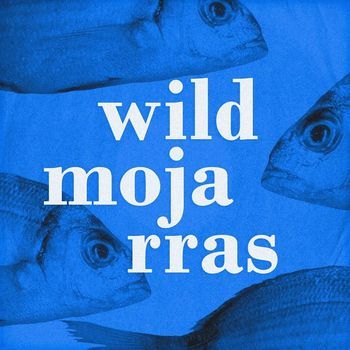 wild mojarras logo