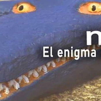 mute cabecera 1