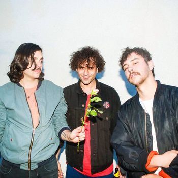 The parrots