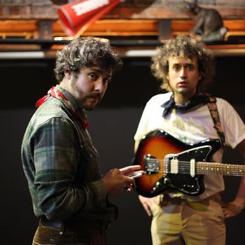 The parrots 9