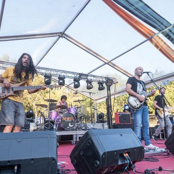 The Wild Fest 2020