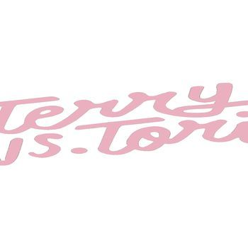 Terry Vs Tori cabecera 1