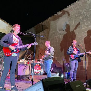 Camellos en concierto