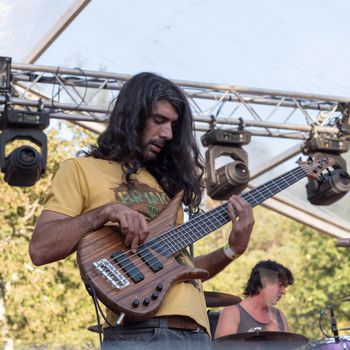 The Wild Fest 2020