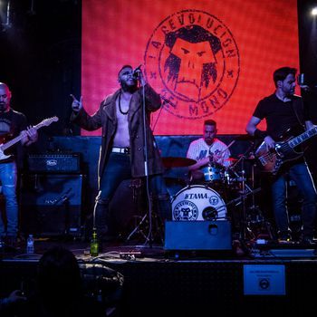 LA REVOLUCION DEL MONO