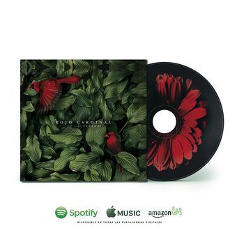 "¡Vuelan!", nuestro primer álbum de estudio, ya disponible en todas las plataformas.