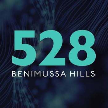 528 Ibiza logo