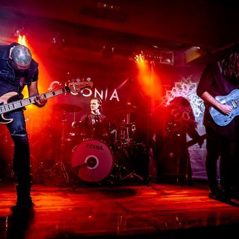 Ciconia 2