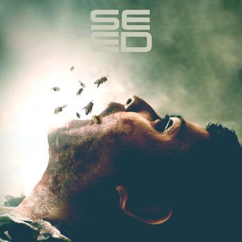 Seed