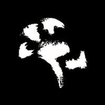 Shurakay logo