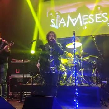Siameses 2