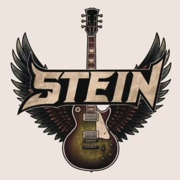 The Stein logo