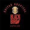 Imagen de perfil de BLACKBIRD LUTHIER