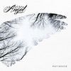 Imagen de perfil de We lost an angel