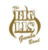 Imagen de perfil de The Big Lis Gumbo Band