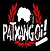 Imagen de perfil de Patxangoi