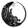 Imagen de perfil de Rata Negra