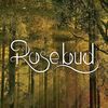 Imagen de perfil de Rosebud