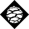 Imagen de perfil de Sequoia Tree