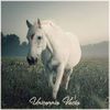 Imagen de perfil de Unicornio Vacío