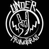 Imagen de perfil de Underpromotoras