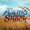 Imagen de perfil de Alamo Shock