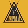 Imagen de perfil de Sala Impala