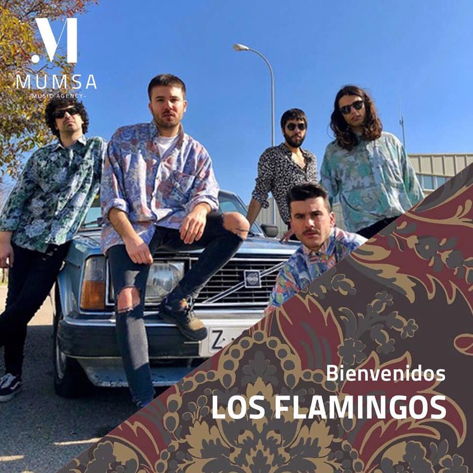 Imagen de perfil