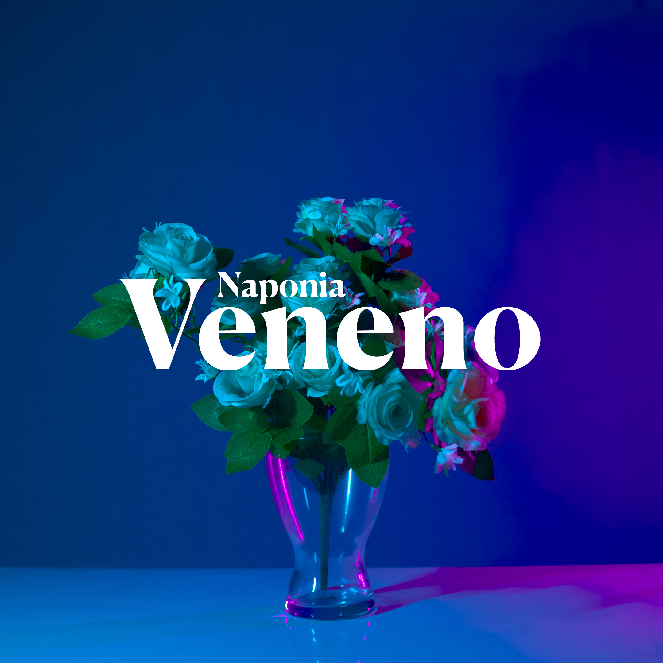 Imagen de comentario
