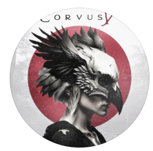 Imagen de perfil
