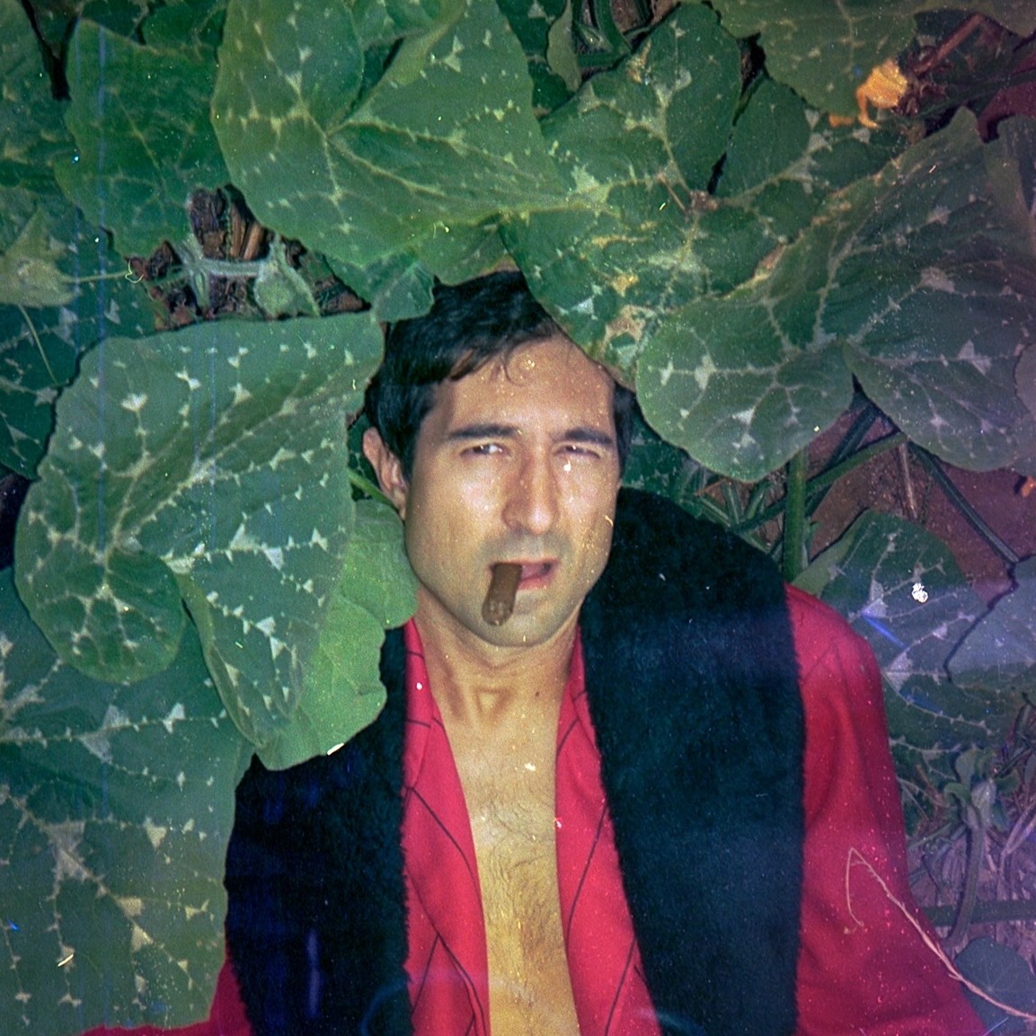 Imagen de perfil